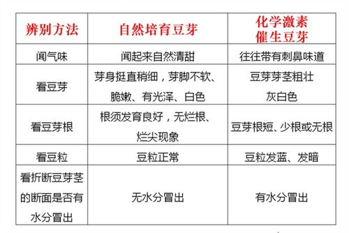 韭菜 豆芽 保健食品 3月1日起实施食品安全信息追溯